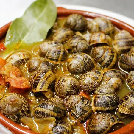 Costa Hotel El Pont de Suert